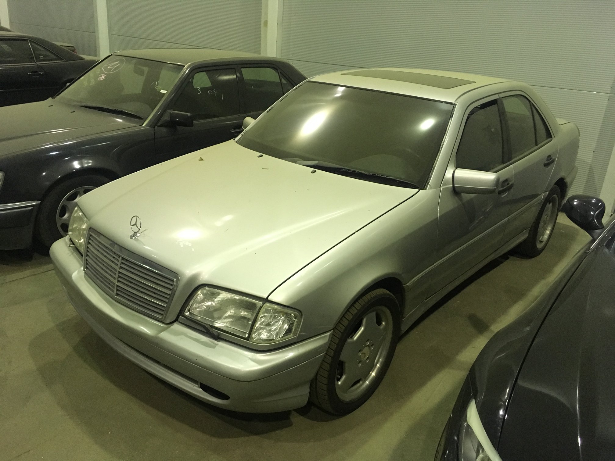 54431941_2420238801332235_6392276221220093952_n